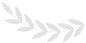 Alt Text for Image