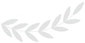 Alt Text for Image