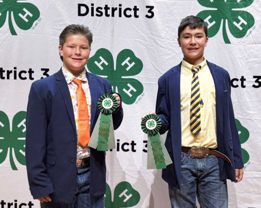 Dickens County 4-H’ers attend District Round Up