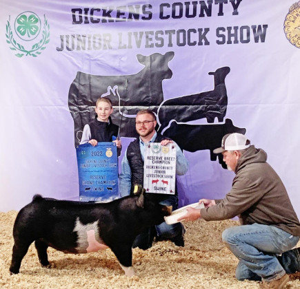 AREA LIVESTOCK SHOW COVERAGE UPDATES