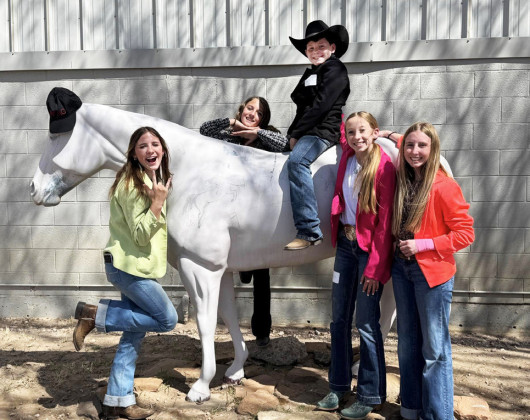 DICKENS 4-H HONORS