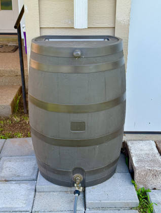 FREE WATER All you need to collect rainwater is a catchment, a hard surface such as a rooftop, with gutters that direct water flow from downspouts into holding containers like rain barrels. | THE TEXAS SPUR