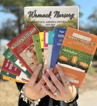 Garden planning for the new Year