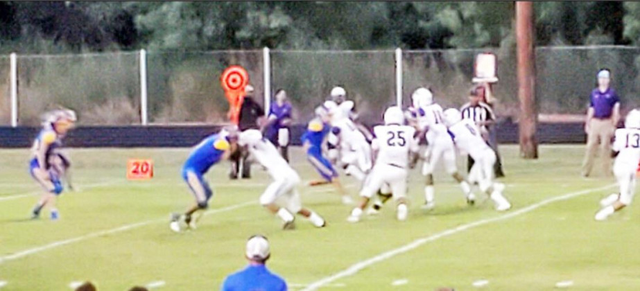 Bulldogs tame Broncos 65-20 in home opener