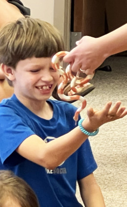 SNAKES, SQUIRREL AND A SHADOW