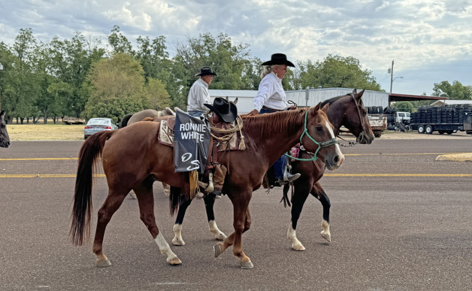 SPOTLIGHT ON 2024 MOTLEY-DICKENS REUNION &amp; RODEO PARADE