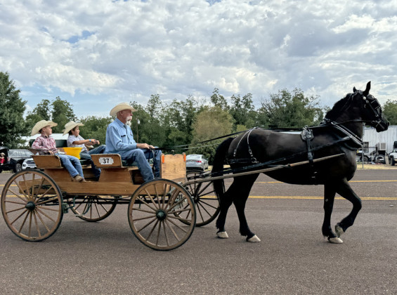 SPOTLIGHT ON 2024 MOTLEY-DICKENS REUNION &amp; RODEO PARADE