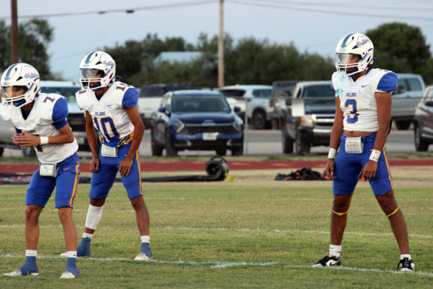 SPUR FALLS The Aspermont Hornets stung the Spur Bulldogs 66-16 on the road last week. This week the Bulldogs are gearing up to host the Meadow Broncos Friday at 7:30 p.m. at Jones Stadium for Homecoming. | COURTESY PHOTOS