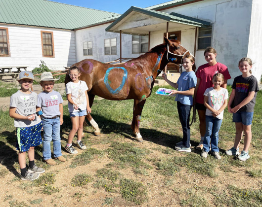 HORSE CAMP Dickens County 4-H members learned about the anatomy of a horse. | COURTESY PHOTO