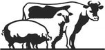 2024 Dickens Junior Livestock