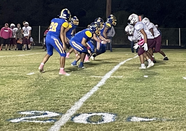 Bulldogs rout Vernon
