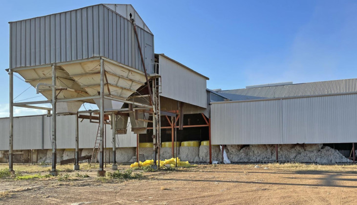 Cotton ginning starts in Spur