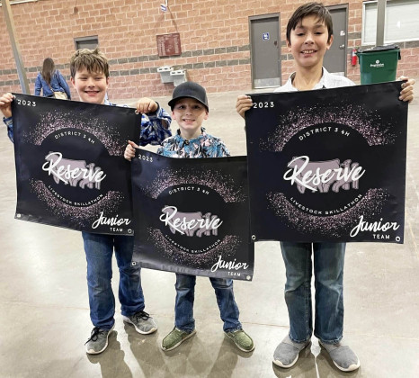 Dickens 4-H wins honors at ag contests