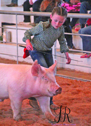 SPOTLIGHT ON KENT COUNTY STOCK SHOW