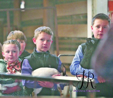 SPOTLIGHT ON KENT COUNTY STOCK SHOW