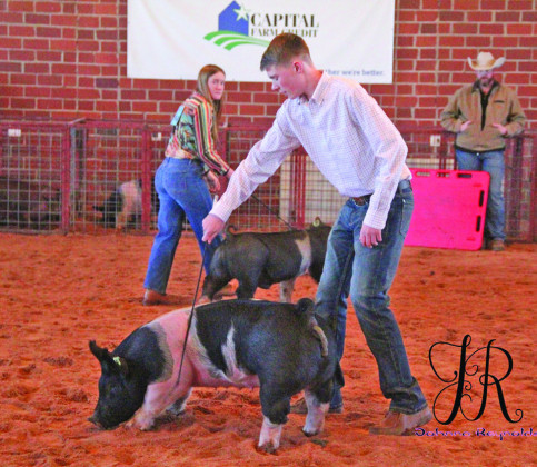 SPOTLIGHT ON KENT COUNTY STOCK SHOW