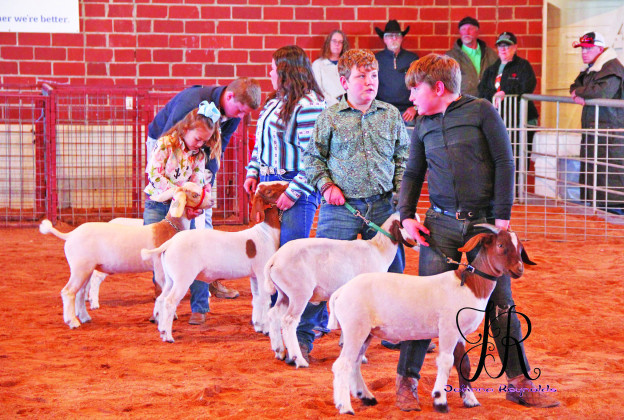 SPOTLIGHT ON KENT COUNTY STOCK SHOW