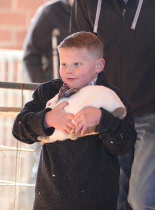 SPOTLIGHT ON KENT COUNTY STOCK SHOW