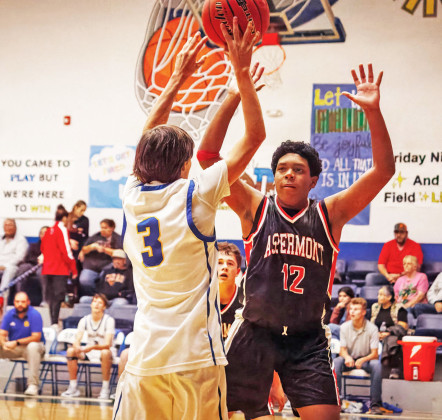 Spurettes win overtime thriller over Aspermont