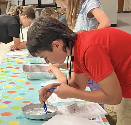LEARNING FROM THE BIRDS At the VetScience camp in Lubbock last week, CalvinHays Chapman (left) and Henry Chapman (right) dissected owl pellets to learn about the animals present in its habitat, and the food web it occupies. | COURTESY PHOTOS