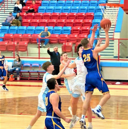 BULLDOGS IN BI-DISTRICT