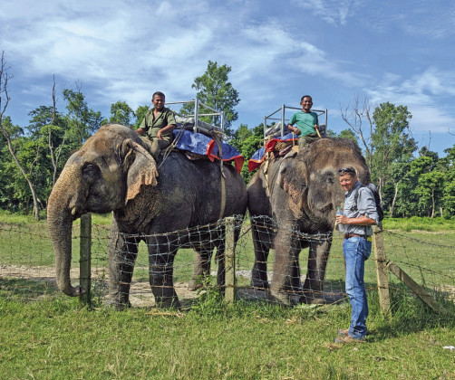 ELPEHANTS IN NEPAL The number of wild elephants in Nepal has increased to around 400, according to a recent study cited in a 2022 Kathmandu Post article; additional animals, in sanctuaries and parks, are domesticated. MORE PHOTOS, PAGE 9