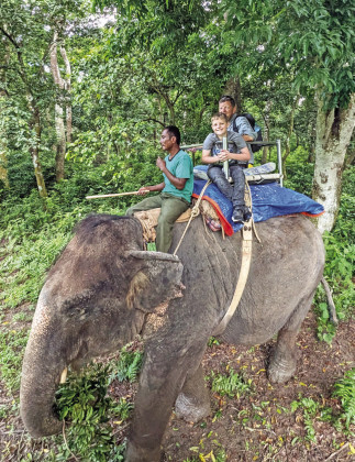 In Chitwan, the Pafford pop and Pafford son took one last opportunity to see some wildlife —and ride an elephant.