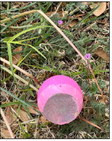 SPOTLIGHT ON DICKENS 4-H EGG HUNT