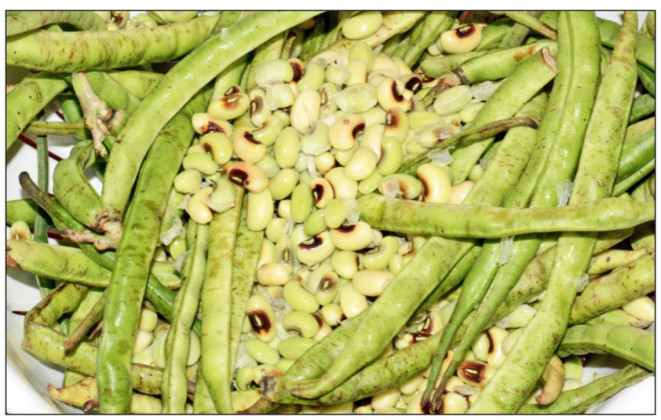 Black-eyed peas in season now