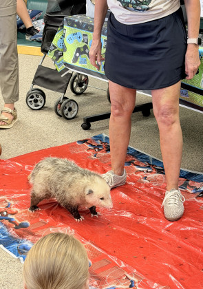 ABOVE IT’S NOT IMPOSSUM-BLE to bring wild creatures into the library to teach youngsters about the wonders of nature. | TEXAS SPUR