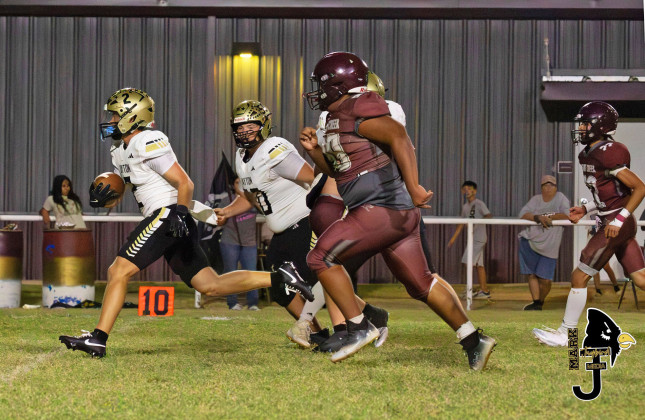 Jaybirds dominant to open District play