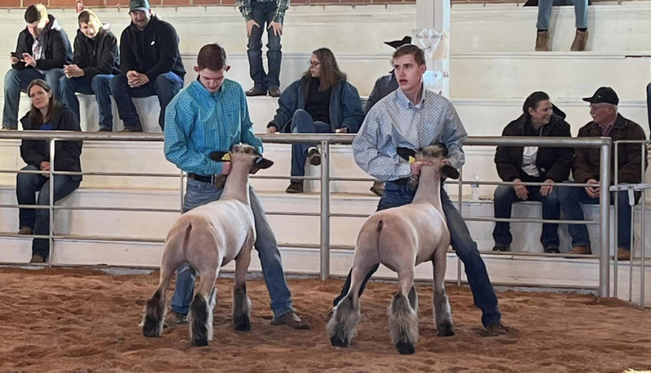 SPOTLIGHT ON KENT LIVESTOCK SHOW