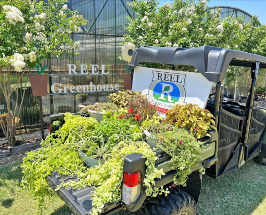 The Greenhouse to bring more ‘green’ to Jayton soon