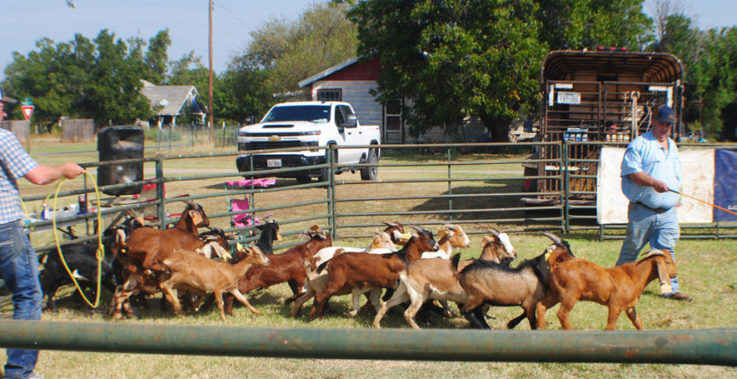 SPOTLIGHT ON JAYTON HOMECOMING