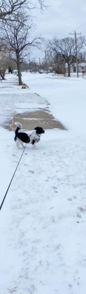 SPOTLIGHT ON SNOW