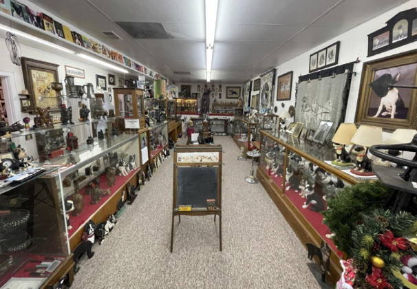 Floydada’s Boston Terrier Museum featured on ‘Texas Bucket List’