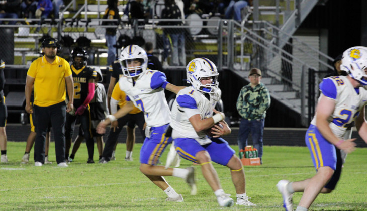 Bulldogs fall to Petersburg Buffaloes in district play
