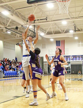 Spurettes win Area championship
