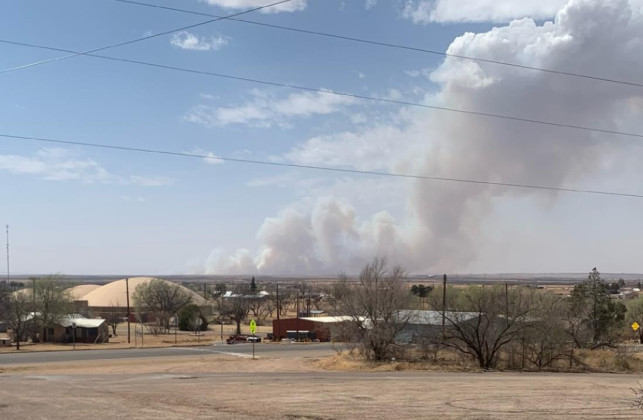 Dickens county grass fire burns 2,300 acres; houses and livestock saved