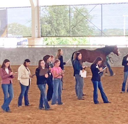 Dickens 4-Hers participate in state Roundup