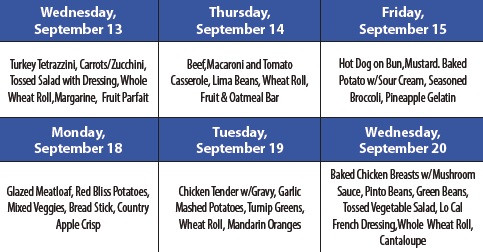 Spur Senior Citizens Menu