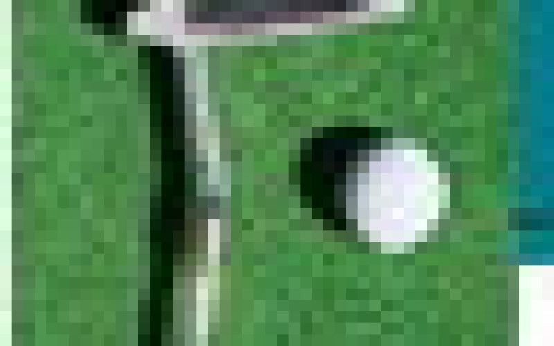 28 players at the scramble this week