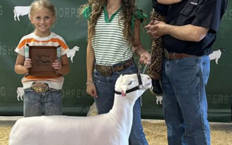 SHEEP SHOW Paisley and Steeley Smith traveled to Duncan, Oklahoma, for the Dorper Sheep National Show. | COURTESY PHOTO