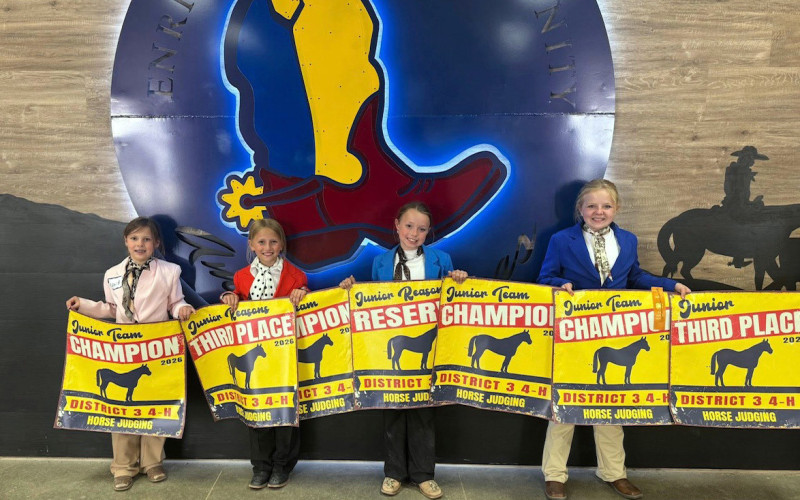 Dickens 4H, junior horse judging team D3 Champions