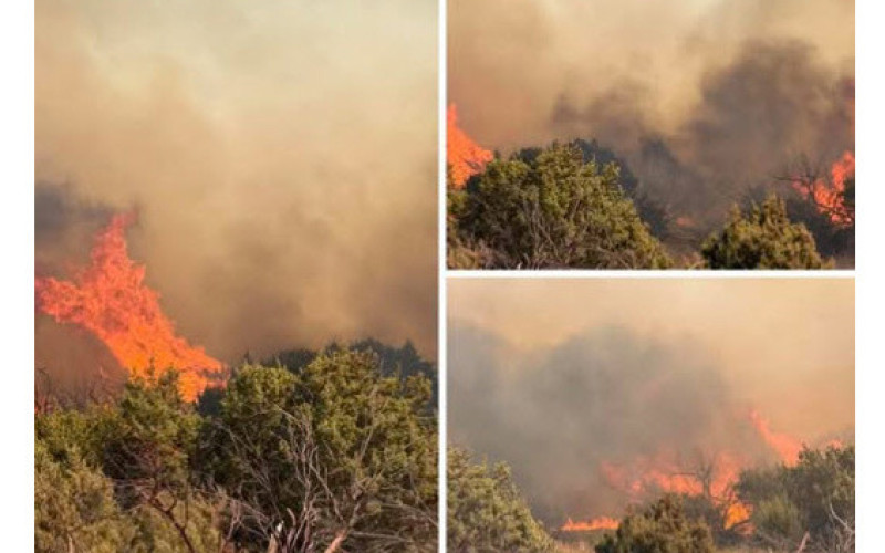 ON THE GROUND The Bell Fire in Dickens County displayed a large smoke plume as crews arrived on the scene March 26, 2026. | COURTESY OF J. TORRES; TEXAS A&amp;amp;M FOREST SERVICE