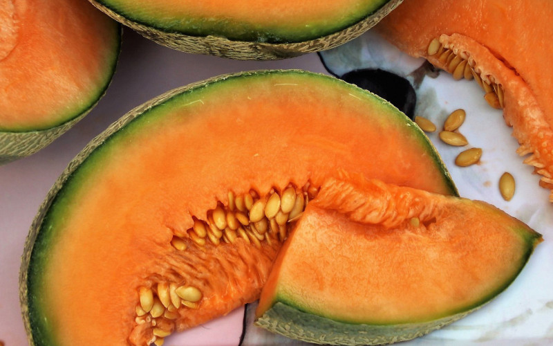 Harvesting just-right cantaloupes