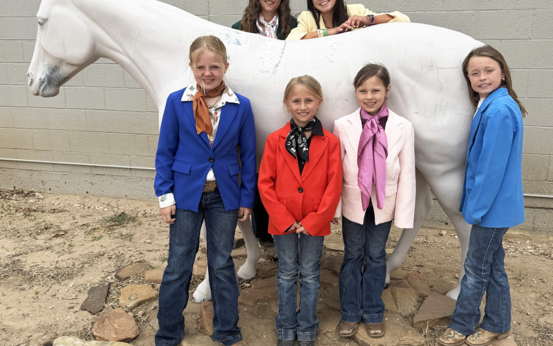 MEATJUDGING Calvin Hays Chapman and Henry Chapman participated in theWTAMU invitational combined Junior/Senior 4-H Meat Judgin