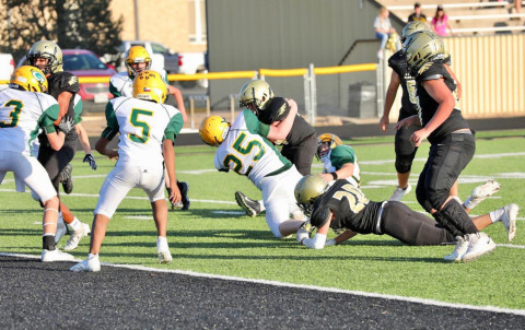 Jaybirds tame Jaguars