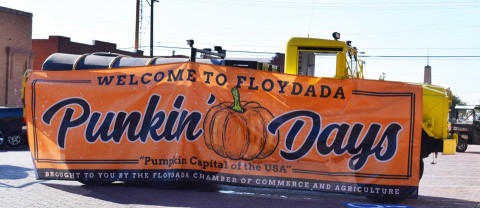 It’s fall pumpkin time!