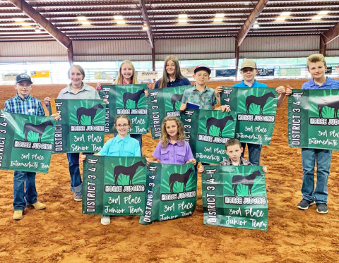 Dickens County 4-H’ers participate in horse judging